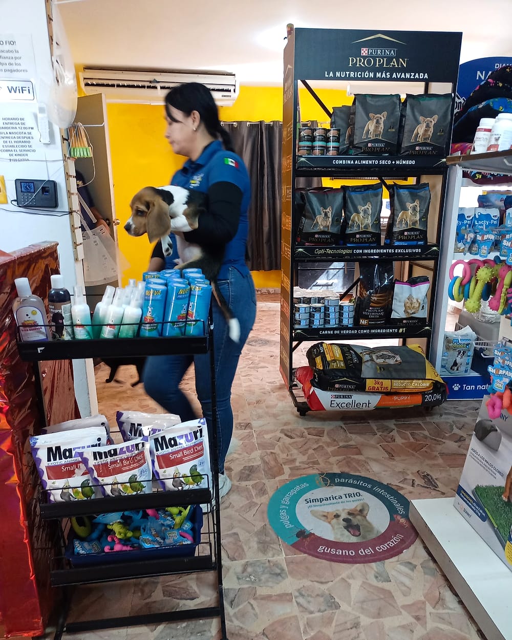 Recepción y tienda de Señor Mascota con una paciente en brazos
